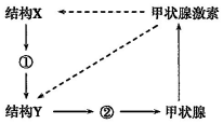 作业帮