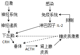 作业帮