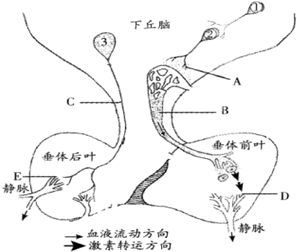 作业帮