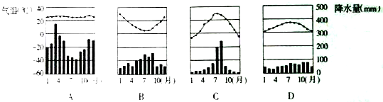 阅读下列四地气温降水柱状图回答相关问题.问题.