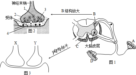 作业帮