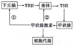 作业帮