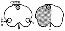 作业帮