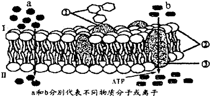 作业帮