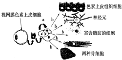 作业帮