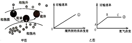 作业帮