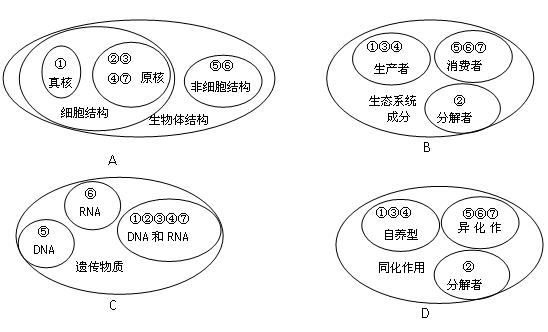 ①酵母菌 ②乳酸菌 ③硝化細菌 ④藍藻 ⑤ sars 病毒 ⑥噬菌體 ⑦