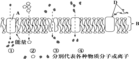 如圖為物質出入細胞膜的示意圖,請據圖回答下面的問題.