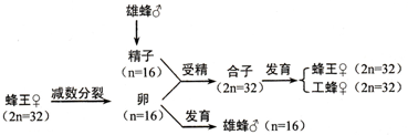 专题  分析  分析图形