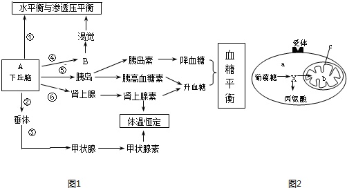 回答下列有關動物體內穩態調節的問題