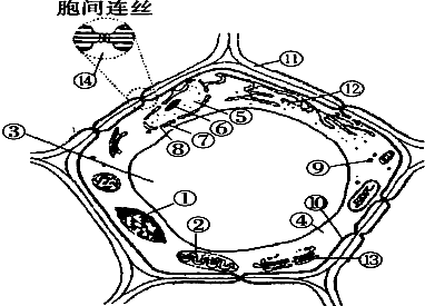 如图是某种细胞亚显微结构模式图请据图回答下列问题