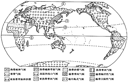 读世界气候类型分布图,完成下列问题