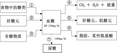 下圖為人體內血糖的來源和去路示意圖,請分析回答問題