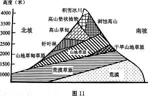 图11为某山地的垂直带谱示意图读图回答21～22题