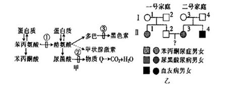 如圖 a 所示為人體內苯丙氨酸與酪氨酸的代謝途徑,圖 a 中的數字分別