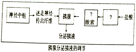 胰腺不仅能分泌激素,还能分泌胰液,如图表示胰液分泌调节的部分过程.