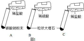 孟德尔实验过程图解图片