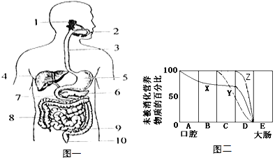如圖一為人體消化系統模式圖及圖二營養成分消化過程曲線.