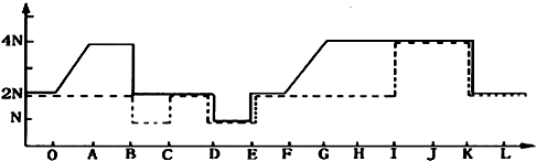 (1)分析表格中的曲线可知,实线数目变化过程是2n→4n→2n→n→2n→4n