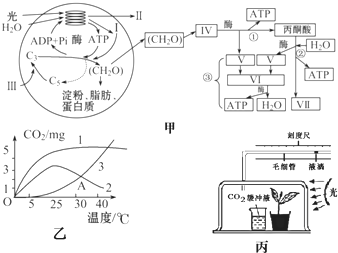 光合作用和細胞呼吸是植物體的重要生理功能,請據圖回答