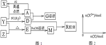 (1)組成單質y的元素在週期表中的位置是___;m中存在的化學鍵類型為