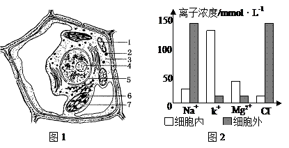 下圖1是植物細胞亞顯微結構模式圖.據圖回答(〔 〕內填入圖中標號