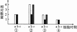 图中的④表示动物细胞减数分裂过程中的四个阶段,a,b,c分别