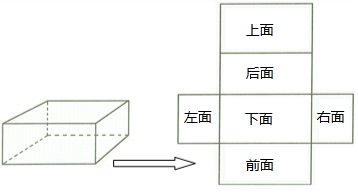 在長方體的展開圖中,分別用