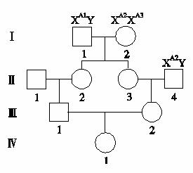 某家系的遺傳系譜圖及部分個體基因型如圖所示, a1 , a2 , a3 是斡譖