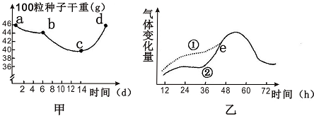 图甲为某植物种子萌发过程中干重变化曲线,图乙为密闭容器中种子萌发