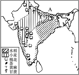 印度农业分布地区图片