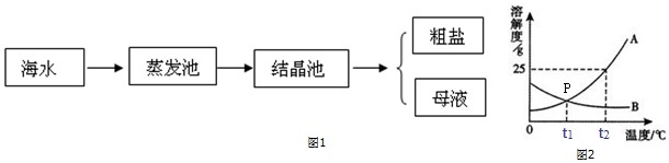 回答下列問題