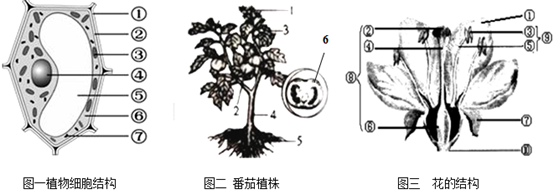 请结合下列三幅与植物有关的结构图分析并回答下列问题