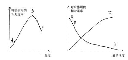 呼吸曲线图及分析图片