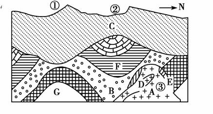 下图为某地区地质剖面图,其中 c 为沉积物, b , f , g 为沉积岩, a