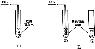 (2)乙图中,将二氧化碳气体通入试管①内的紫色石蕊