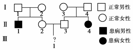 白化病遗传系谱图分析图片