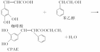 蜂胶的主要活性成分cpae可由咖啡酸和苯乙醇在一定条件下反应制得