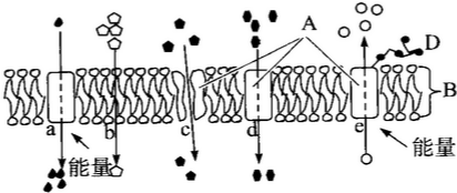 如圖為物質穿過細胞膜的示意圖.請據圖回答