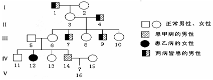 如圖為某家族的遺傳系譜圖,Ⅰ-1同時患有甲病(由基因a-a控制)和乙病