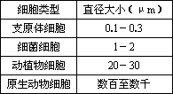 【細胞是生物體結構和功能的基本單位,不管是原核細胞,還是真核細胞