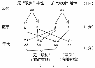 孔雀鱼杂交公式图图片