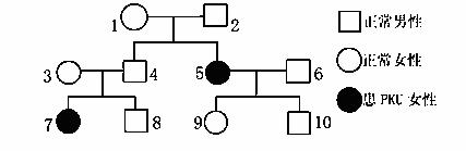 pku 為常染色體上的顯性遺傳病