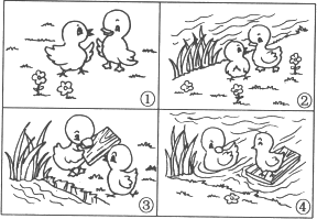 小鸡和小鸭子看图写话图片