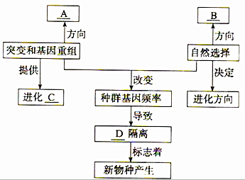 根据所学知识,完成与物种的形成过程相关的概念图