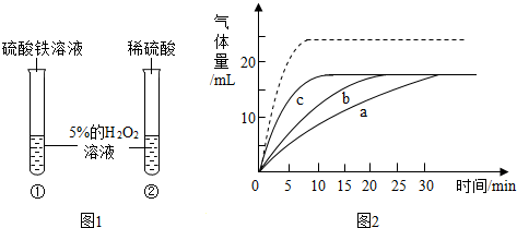 某小組在分解過氧化氫製氧氣的實驗探究過程中不小心把硫酸鐵溶液滴加