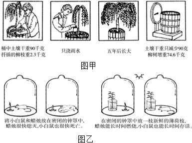 1771年,英国科学家普里斯特利用小白鼠做了两组对照实验(如图乙.