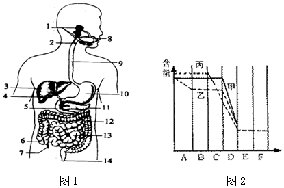 图2为食物通过消化道时,淀粉,蛋白质和脂肪被消化过程中数量的变化图