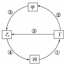 讀岩石圈物質循環示意圖,形成沙丘的地質過程屬於