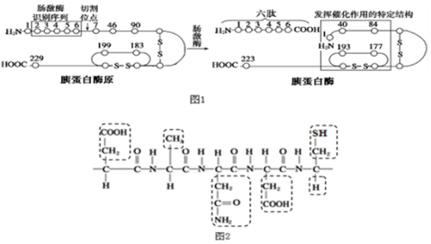 请根据所学蛋白质相关知识回答下列问题